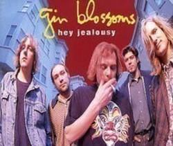 Listen online free Gin Blossoms The End of the World, lyrics.