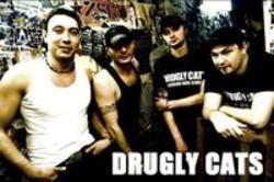 Listen online free Drugly Cats YA s toboy, lyrics.
