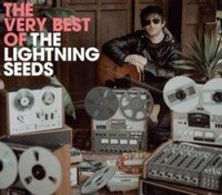 Best and new The Lightning Seeds Soundtrack songs listen online.