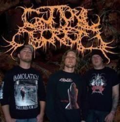 Best and new Guttural Secrete Death Metal songs listen online.