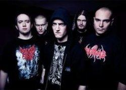 Best and new Ingested Brutal Death songs listen online.