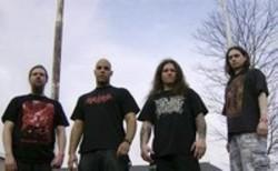 Best and new Lividity Death Metal songs listen online.