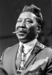 Best and new Muddy Waters Blues songs listen online.