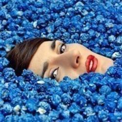 New and best Yelle songs listen online free.