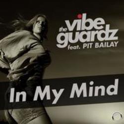 Listen online free The Vibeguardz In My Mind (Radio Edit) (feat. Pit Bailey), lyrics.