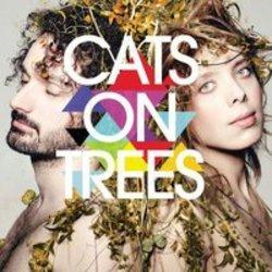 Listen online free Cats On Tree Jimmy, lyrics.