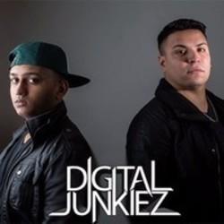 Listen online free Digital Junkiez Drumfire (Original Mix), lyrics.