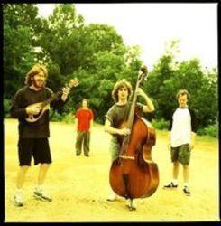 New and best Phish songs listen online free.